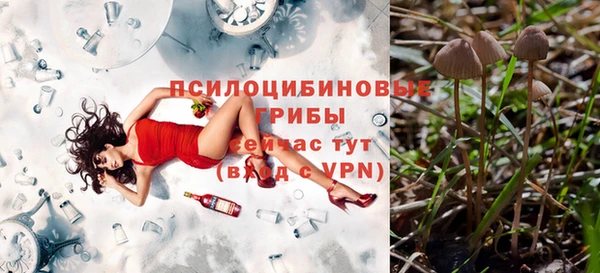 первитин Армянск